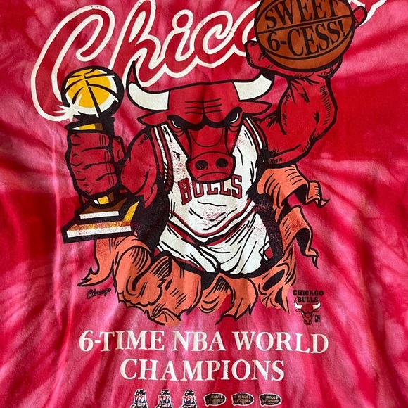 NBA Chicago Bulls Tie-Dye T-Shirt - Picture 2 of 4